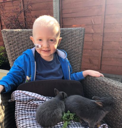 Ollie with bunnies